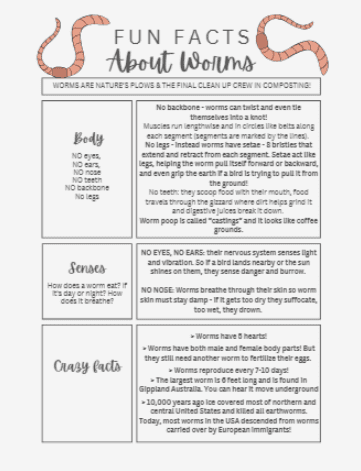 Fun facts about worms infographic with illustrations.